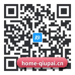 系统版 Android 二维码